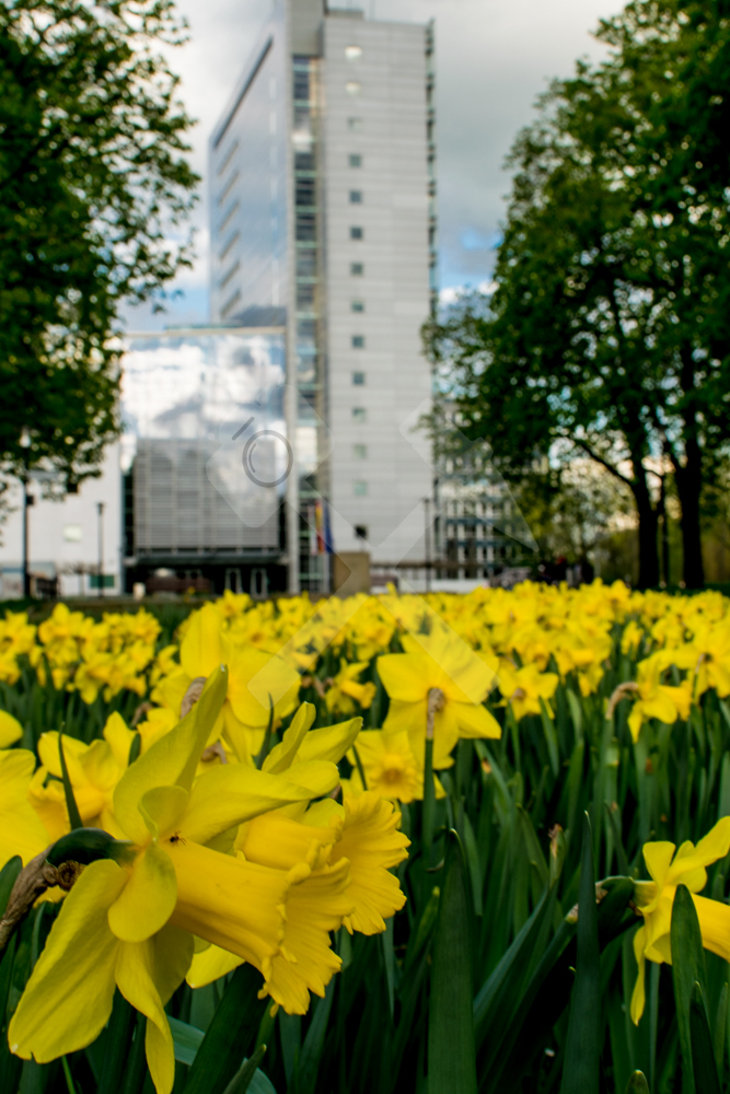 Oberlandesgericht Hamm 1