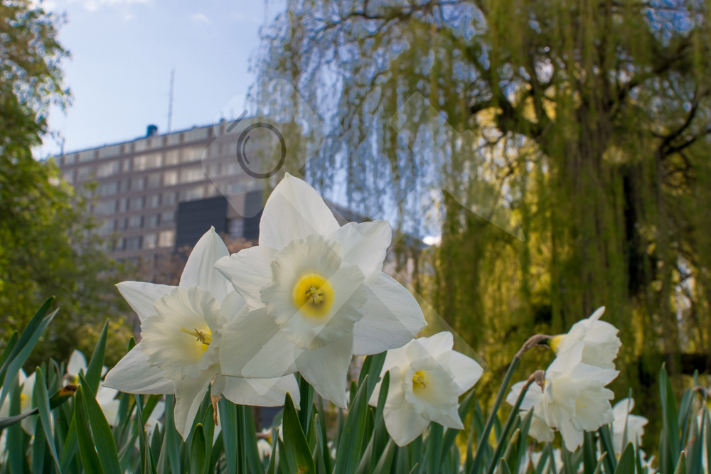 Oberlandesgericht Hamm 3